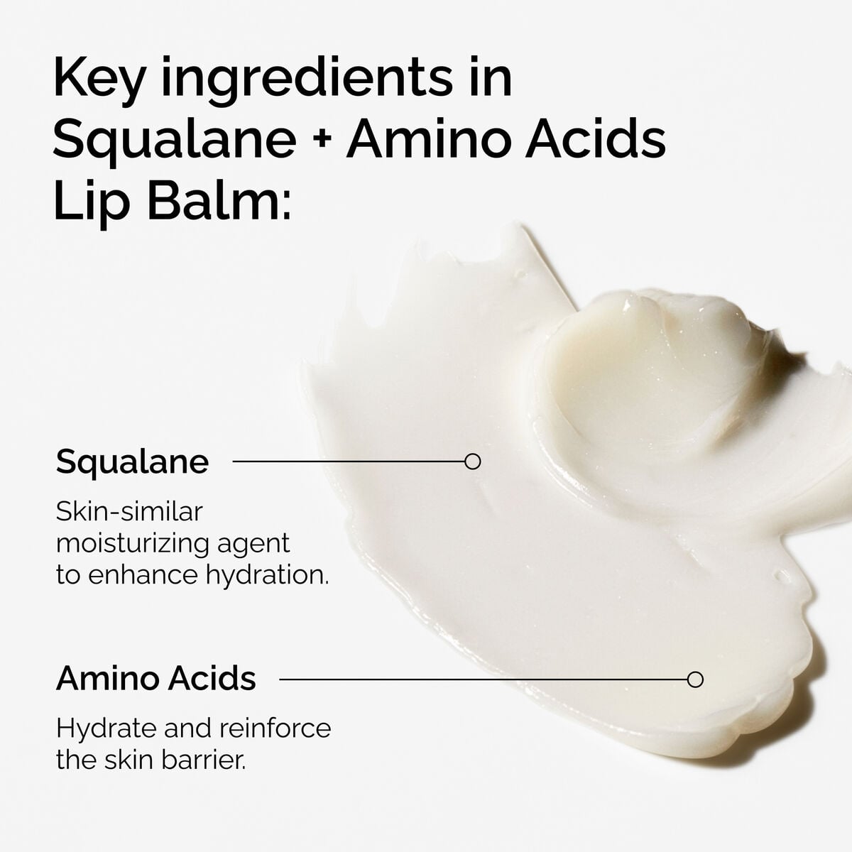 squalane-amino-acids-lip-balm-i8 FY25-D41247-ORD-Web-PDP-Sql-Amino-Lip-1x1-EN-2a.jpg